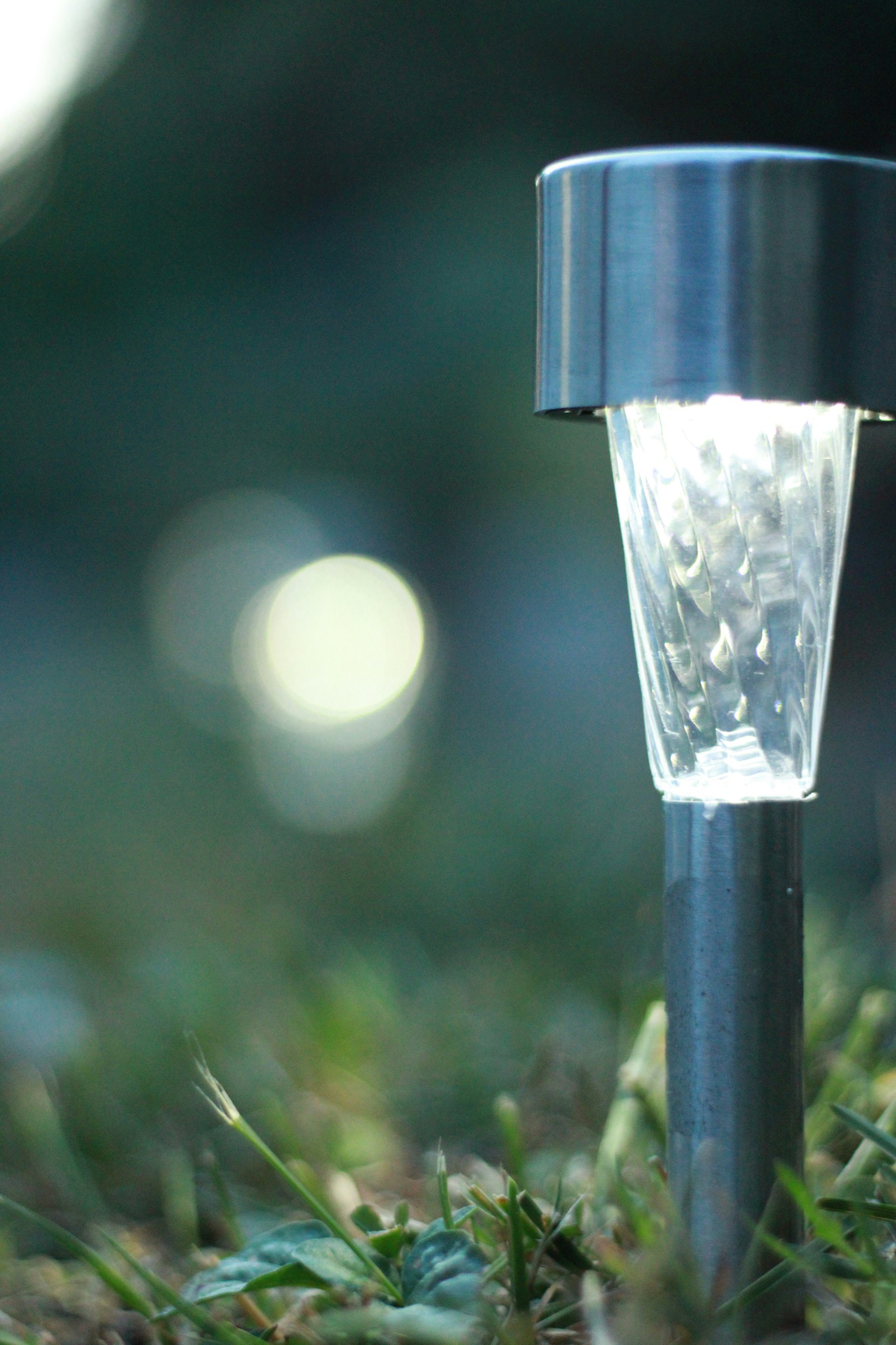 Solar garden lanterns glowing at dusk in garden